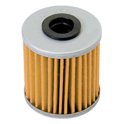 Масляный фильтр для мотоцикла 10-300100 / HF207