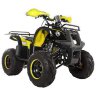 Детский квадроцикл ATV Авантис Hunter 8М+ (125 cc)