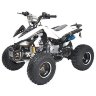 Детский квадроцикл Quake 125cc 8
