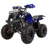 Детский квадроцикл ATV Avantis Hunter 8+ Lite (125 сс)