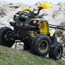 Детский квадроцикл ATV Авантис Hunter 7+ (50 cc)