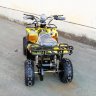 Детский квадроцикл GreenCamel Gobi K400 (36V 800W R6 Цепной привод)