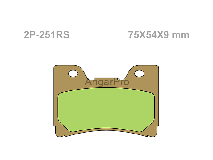 Тормозные колодки NISSIN 2P-251RS по лучшей цене