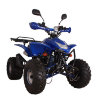 Детский квадроцикл ATV Авантис Termit 8 Lux (50 cc)