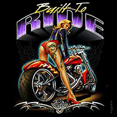 Футболка Rock Eagle Motor Bike 4044