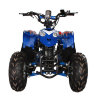 Бензиновый квадроцикл для ребенка ATV Avantis Pilot (50 cc)