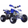 Квадроцикл ATV Irbis 250s