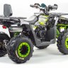 Квадроцикл Motoland Wild Track Lux 200